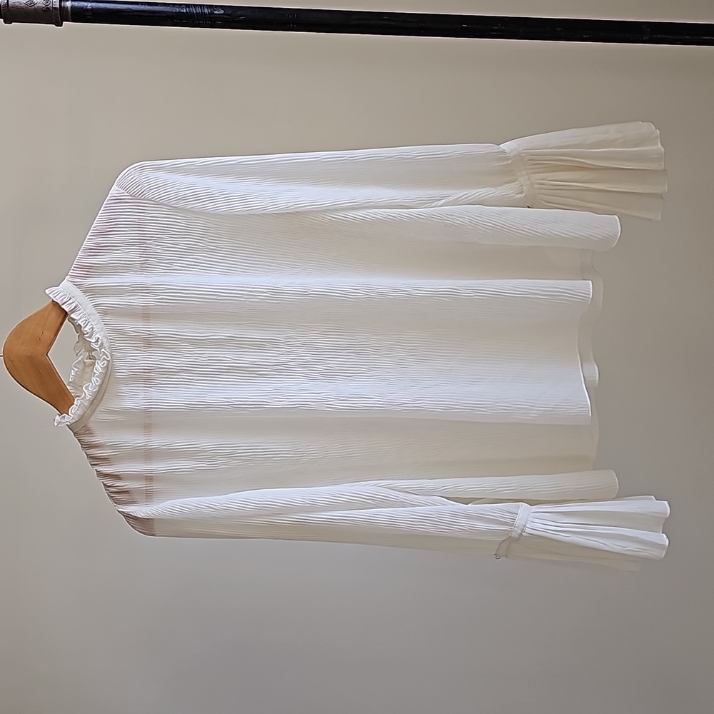 Sheer Poet Sleeved Blouse